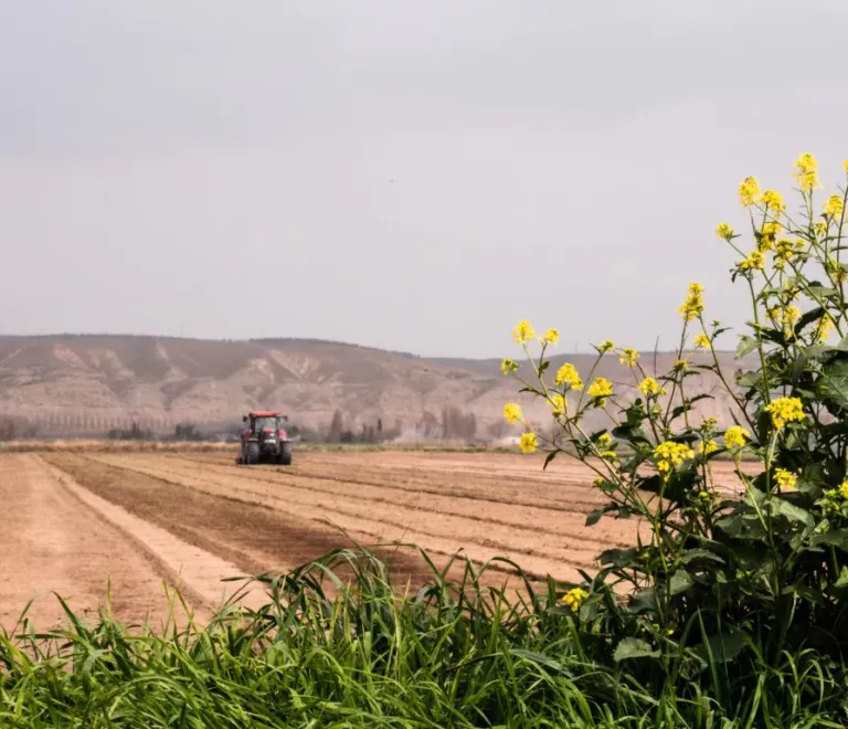 marketing para agronegócio